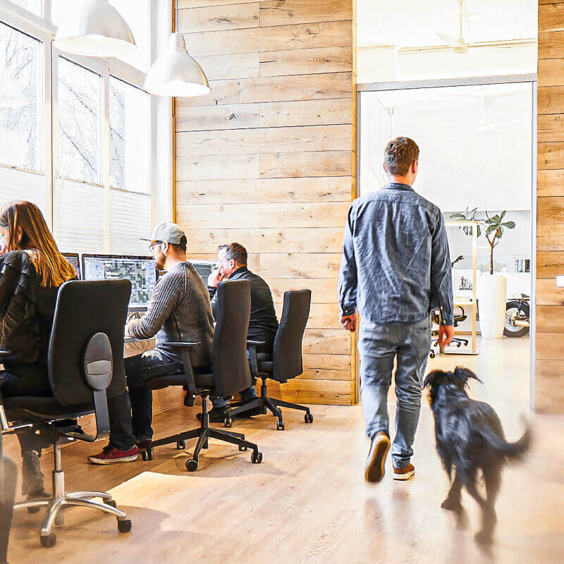 Marketingagentur Schenefeld